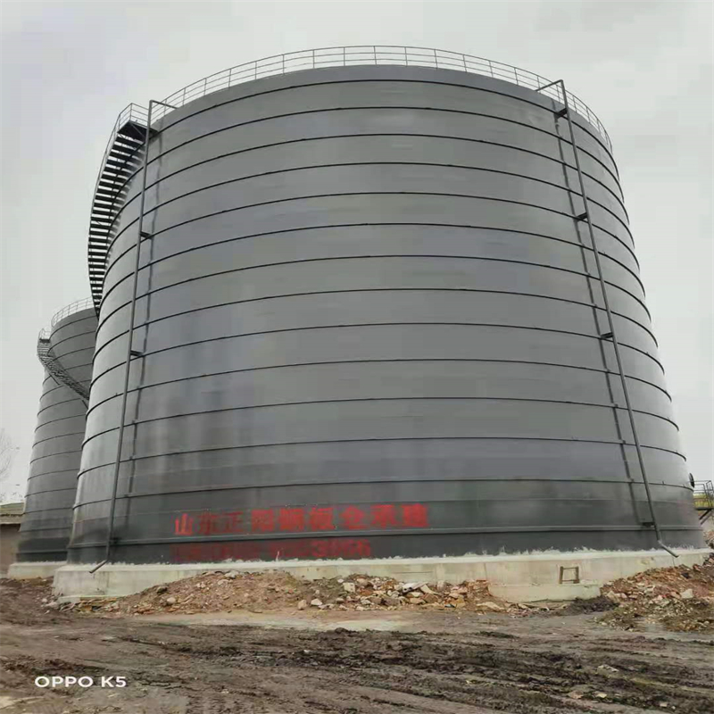 巴里坤3万吨大型钢板库