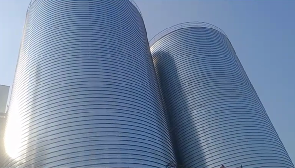 巴里坤2座混凝土高架卷板仓